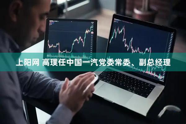 上阳网 高璞任中国一汽党委常委、副总经理