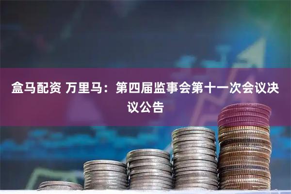 盒马配资 万里马：第四届监事会第十一次会议决议公告