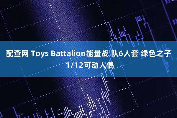 配查网 Toys Battalion能量战 队6人套 绿色之子 1/12可动人偶