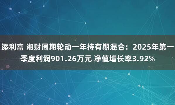 添利富 湘财周期轮动一年持有期混合：2025年第一季度利润901.26万元 净值增长率3.92%