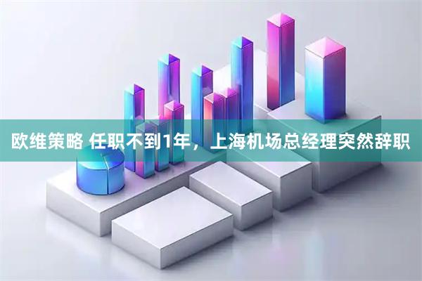 欧维策略 任职不到1年，上海机场总经理突然辞职